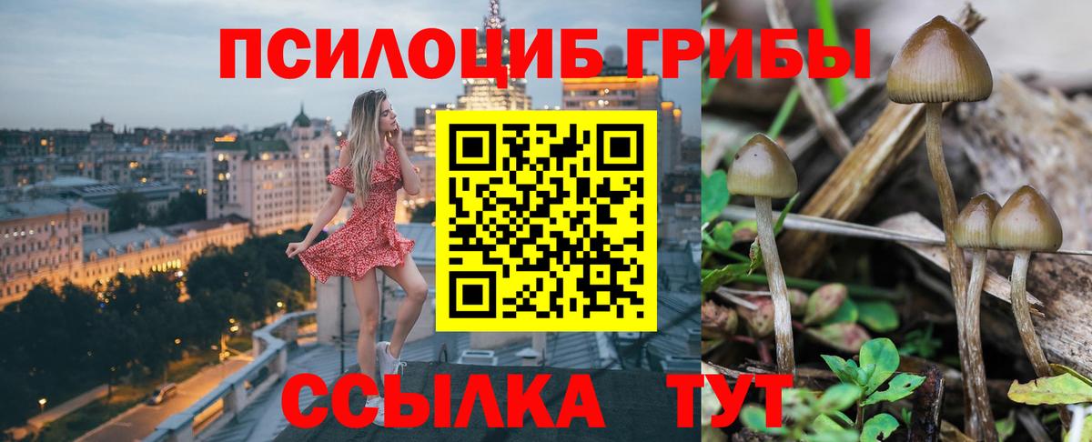 Галлюциногенные грибы Magic Shrooms Городец